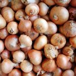 Onions